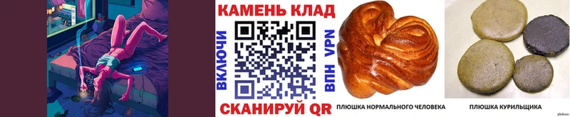 Названия наркотиков Ак-Довурак Codein Амфетамин Меф мяу мяу Alpha-PVP Канабис КОКАИН ГАШ
