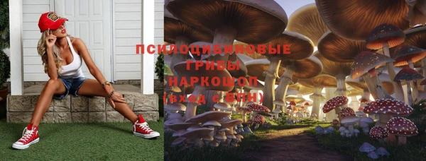 бошки Алзамай