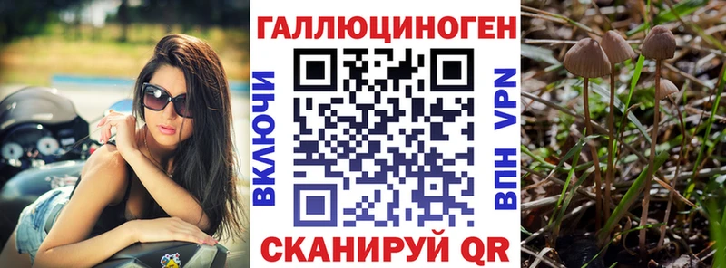 Галлюциногенные грибы мухоморы Ак-Довурак